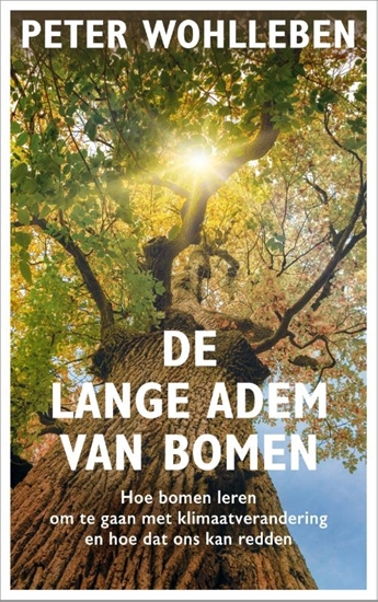 Afbeelding van De lange adem van bomen