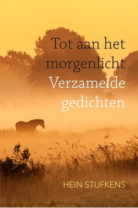 Afbeeldingen van Tot aan het morgenlicht