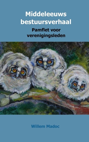 Afbeelding van Middeleeuws bestuursverhaal