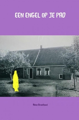 Afbeeldingen van Een engel op je pad