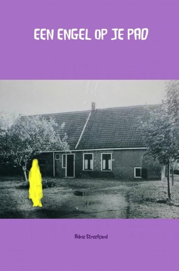 Afbeelding van Een engel op je pad