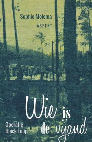 Afbeelding van Wie is de vijand