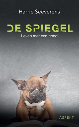 Afbeeldingen van De Spiegel