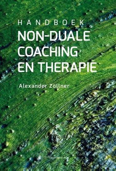 Afbeelding van Handboek non-duale coaching en therapie