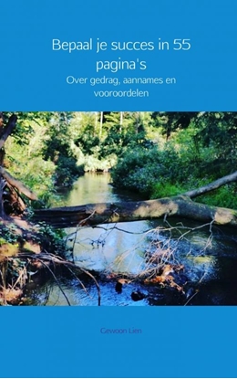 Afbeeldingen van Bepaal je succes in 55 pagina's