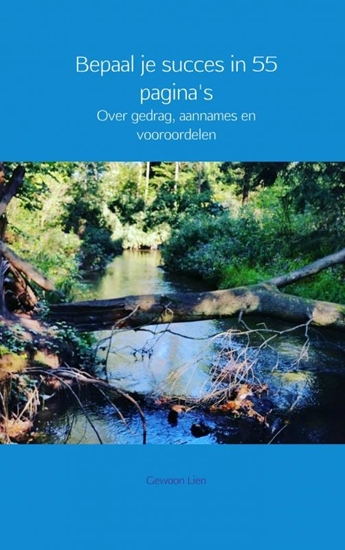 Afbeelding van Bepaal je succes in 55 pagina's