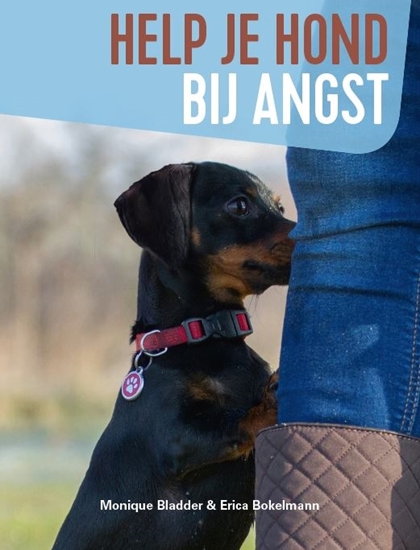 Afbeelding van Help je hond bij angst