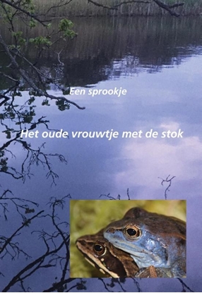 Afbeeldingen van Een sprookje
