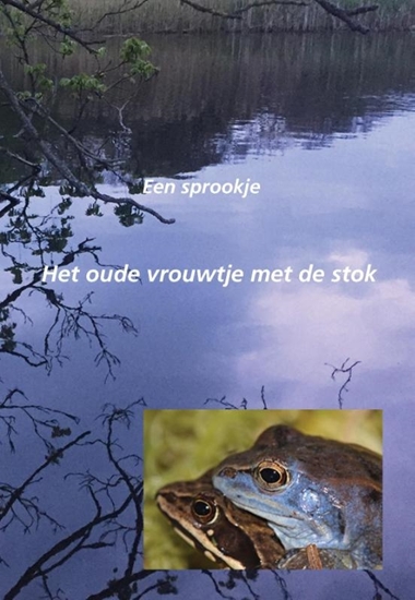 Afbeelding van Een sprookje