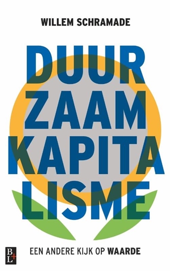 Afbeelding van Duurzaam kapitalisme