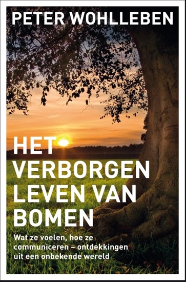 Afbeelding van Het verborgen leven van bomen