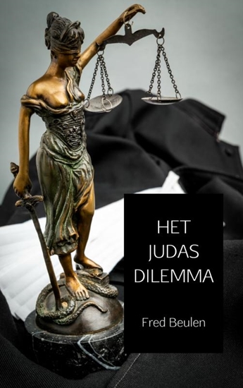 Afbeelding van HET JUDAS DILEMMA