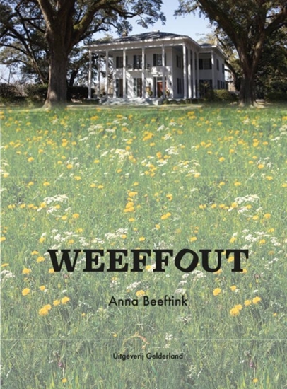 Afbeelding van Weeffout