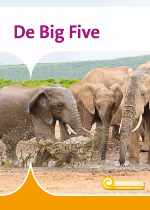 Afbeeldingen van Informatie De Big Five