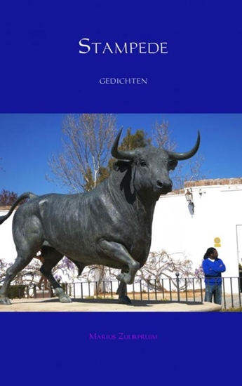 Afbeelding van Stampede