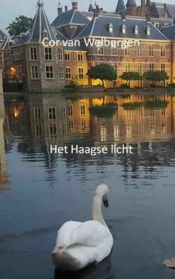 Afbeelding van Het Haagse licht