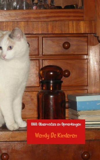 Afbeelding van O&O: Observaties en Opmerkingen