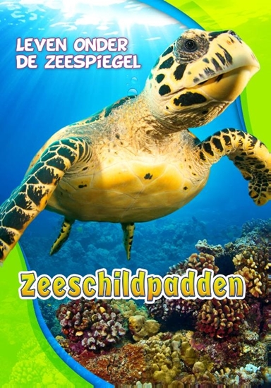 Afbeelding van Leven onder de zeespiegel Zeeschildpadden