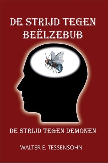 Afbeelding van De strijd tegen Beëlzebub
