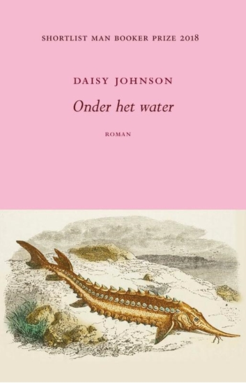 Afbeelding van Onder het water