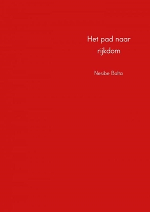 Afbeeldingen van Het pad naar rijkdom