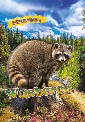Afbeeldingen van Dieren in het wild Wasberen