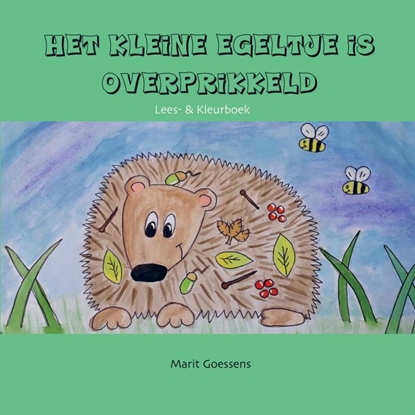 Afbeeldingen van Het kleine egeltje is overprikkeld