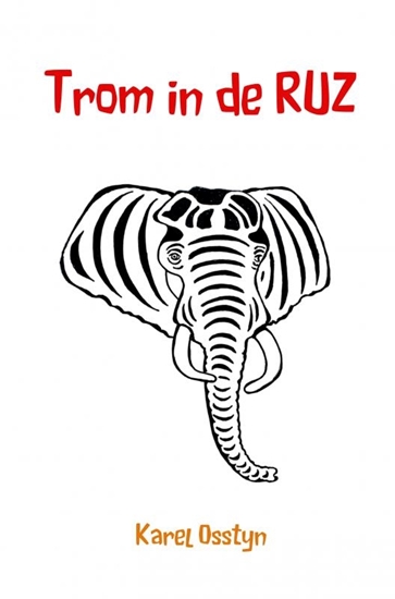 Afbeelding van Trom in de RUZ