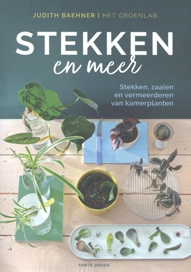 Afbeelding van Stekken en meer