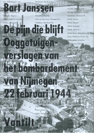 Afbeelding van De pijn die blijft