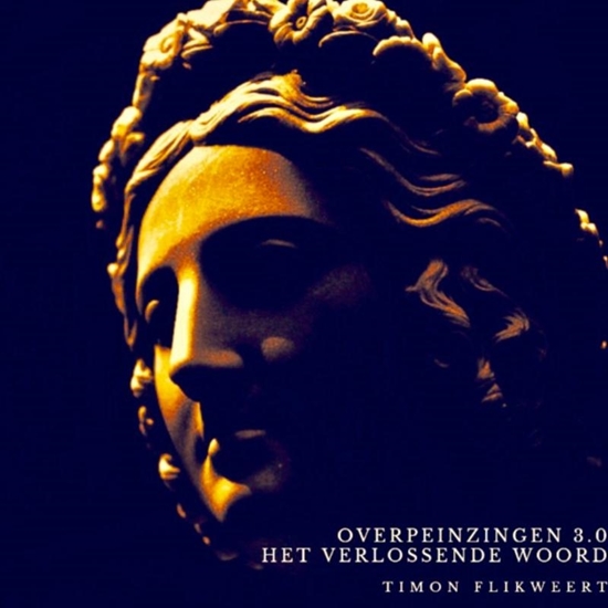 Afbeelding van Overpeinzingen 3.0: Het Verlossende Woord