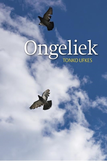 Afbeelding van Ongeliek