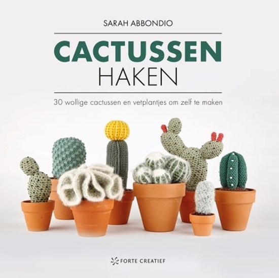 Afbeelding van Cactussen haken