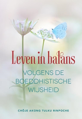 Afbeeldingen van Leven in balans volgens de boeddhistische wijsheid
