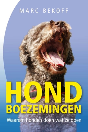 Afbeelding van Hondboezemingen