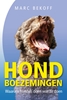 Afbeelding van Hondboezemingen