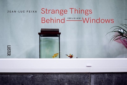 Afbeeldingen van Strange Things Behind Belgian Windows