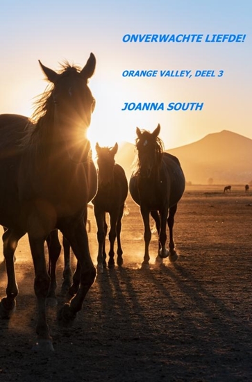 Afbeelding van Orange Valley Onverwachte Liefde!