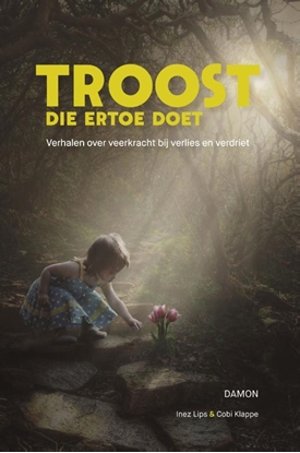 Afbeeldingen van Troost die ertoe doet