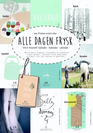 Afbeelding van Alle dagen Frysk