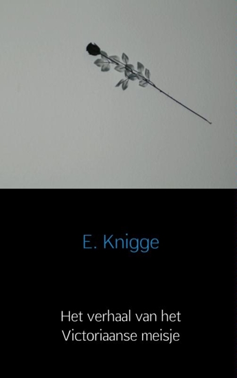 Afbeelding van Het verhaal van het Victoriaanse meisje