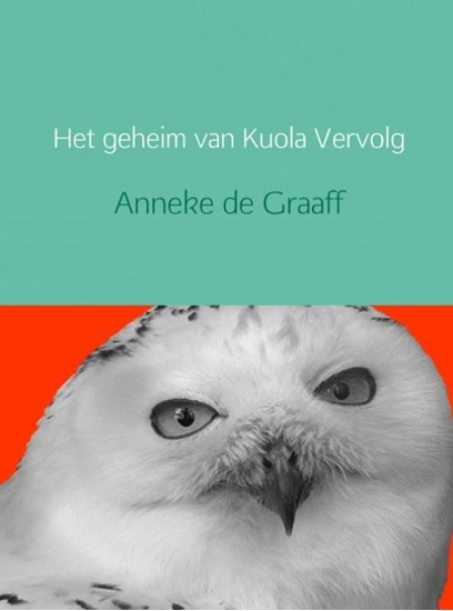 Afbeelding van Het geheim van Kuola