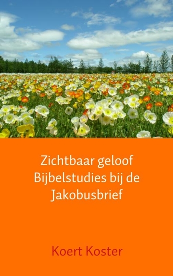 Afbeelding van Zichtbaar geloof Bijbelstudies bij de Jakobusbrief