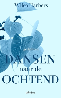Afbeeldingen van Dansen naar de ochtend