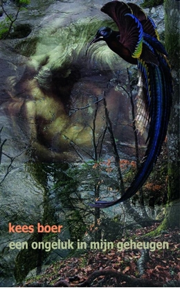 Afbeeldingen van Een ongeluk in mijn geheugen