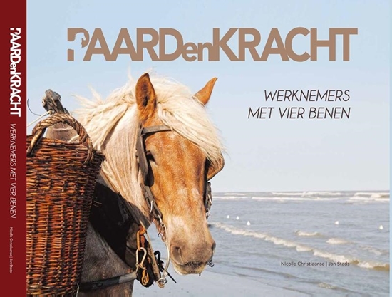 Afbeelding van Paardenkracht