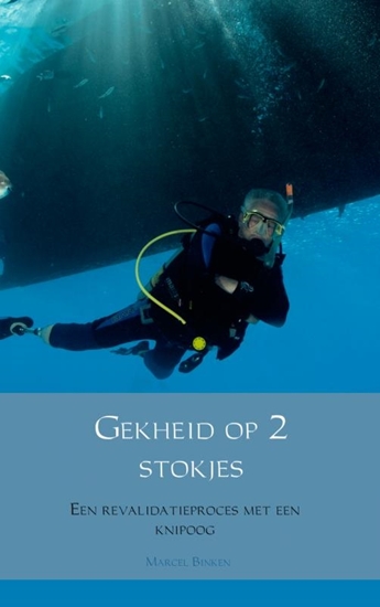 Afbeelding van Gekheid op 2 stokjes