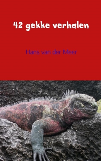 Afbeelding van 42 gekke verhalen