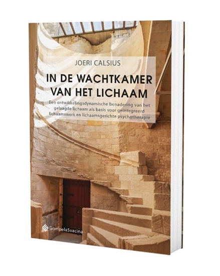 Afbeelding van In de wachtkamer van het lichaam