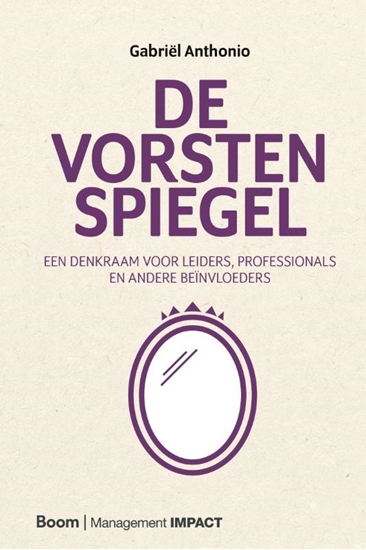 Afbeelding van De Vorstenspiegel
